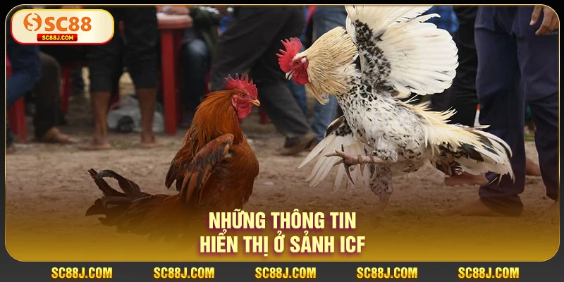 sảnh ICF