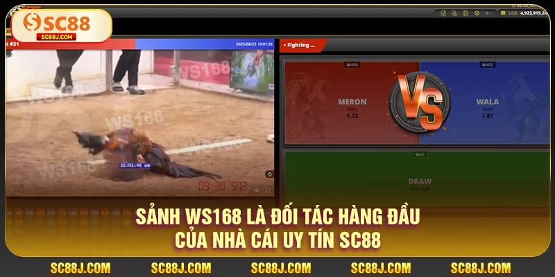 Sảnh Ws168