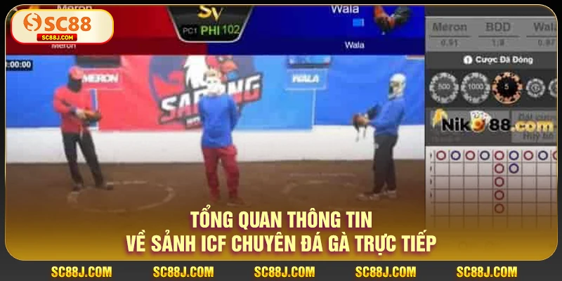 sảnh ICF